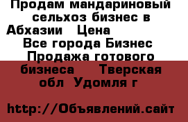 Продам мандариновый сельхоз-бизнес в Абхазии › Цена ­ 1 000 000 - Все города Бизнес » Продажа готового бизнеса   . Тверская обл.,Удомля г.